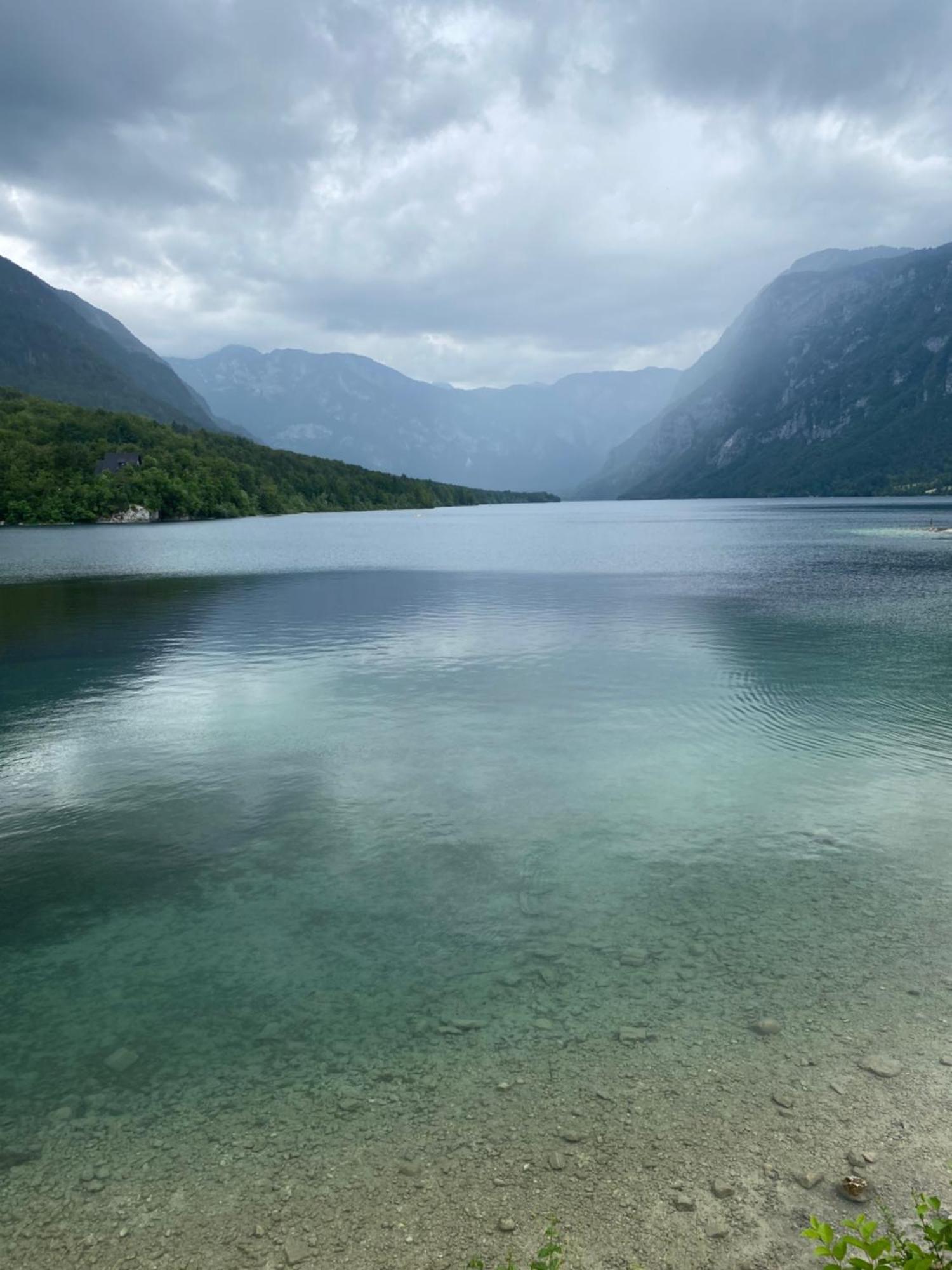 Luxury Apartment Near Lake Bohinj Exteriör bild